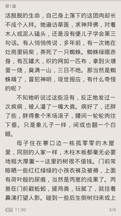 菲律宾长滩岛离境税具体怎么收 专业解答